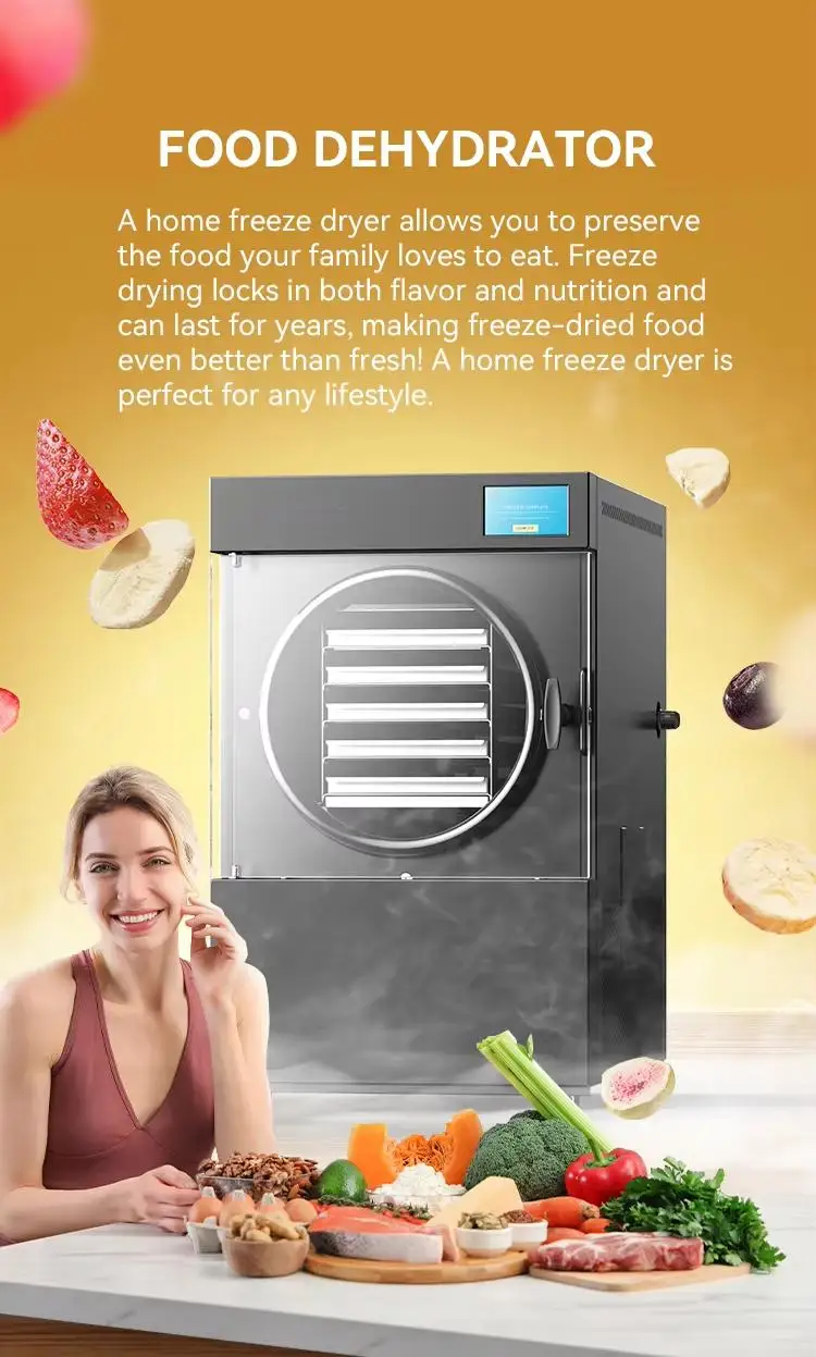 Small Food Freeze Dryer - Mini Lyophilizer, Commercial Industrial Vacuum Pump Freeze Drying Machine for Food Preservation