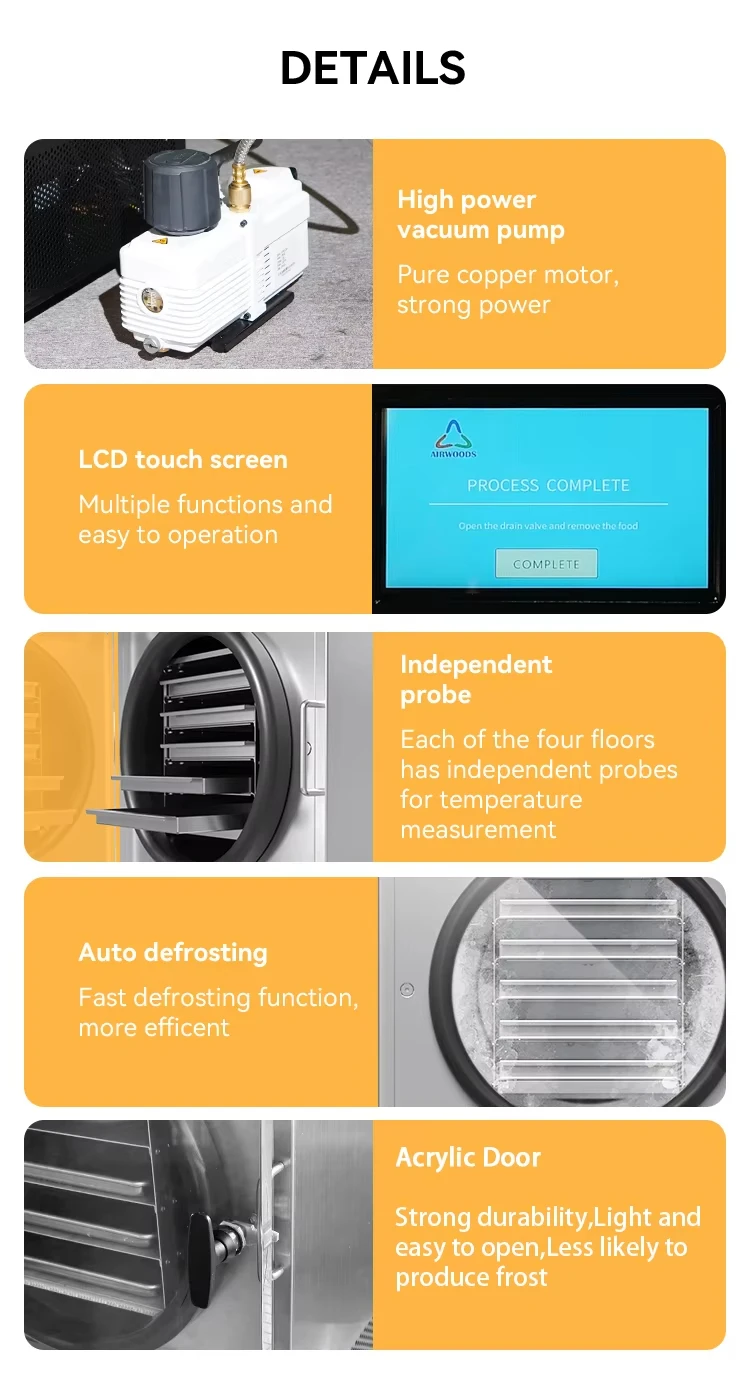 Small Food Freeze Dryer - Mini Lyophilizer, Commercial Industrial Vacuum Pump Freeze Drying Machine for Food Preservation
