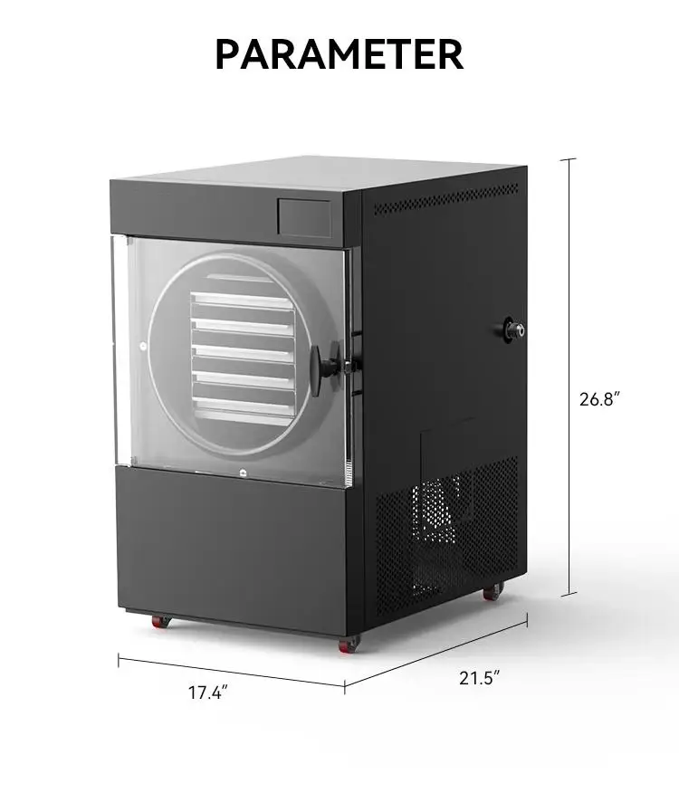 Small Food Freeze Dryer - Mini Lyophilizer, Commercial Industrial Vacuum Pump Freeze Drying Machine for Food Preservation