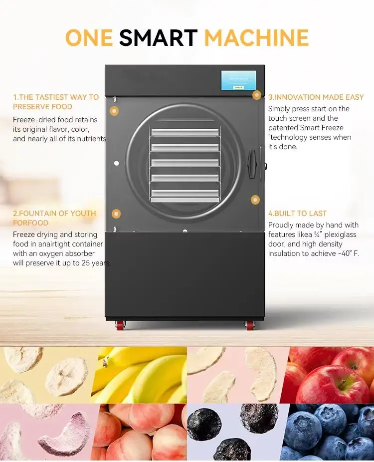 Small Food Freeze Dryer - Mini Lyophilizer, Commercial Industrial Vacuum Pump Freeze Drying Machine for Food Preservation