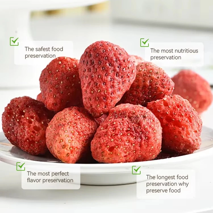 Small Food Freeze Dryer - Mini Lyophilizer, Commercial Industrial Vacuum Pump Freeze Drying Machine for Food Preservation