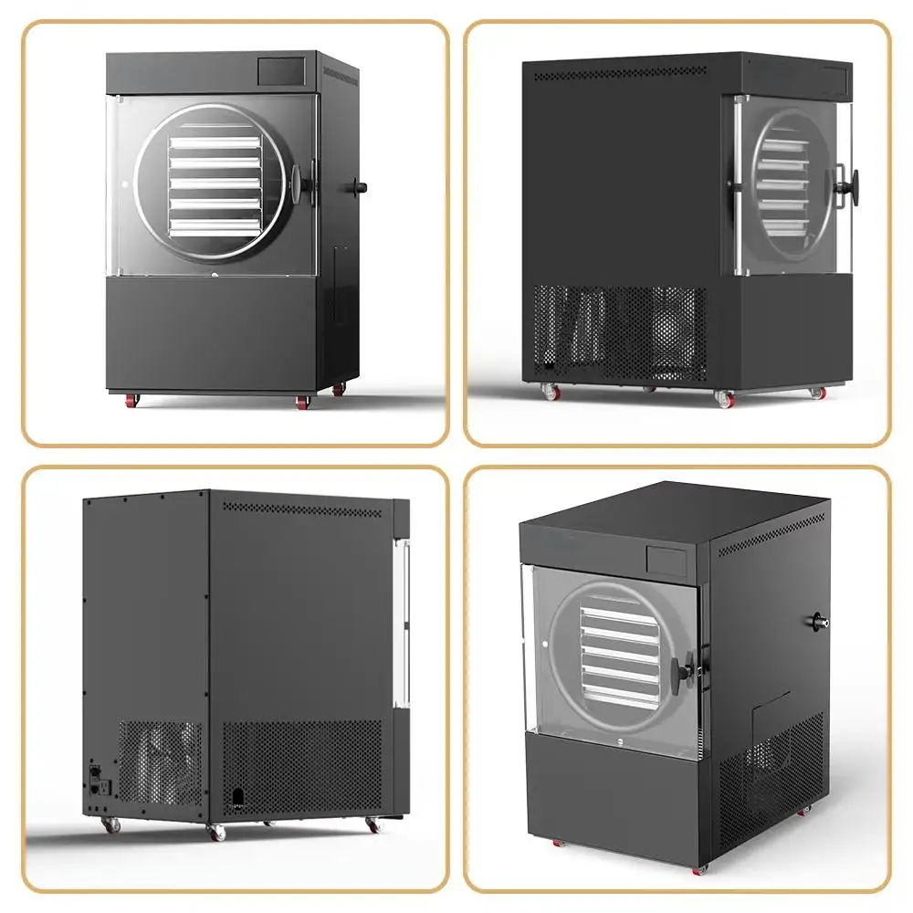 Small Food Freeze Dryer - Mini Lyophilizer, Commercial Industrial Vacuum Pump Freeze Drying Machine for Food Preservation